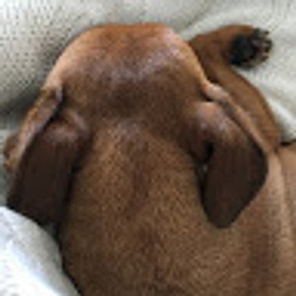 Minal Jethwa Chaudhury