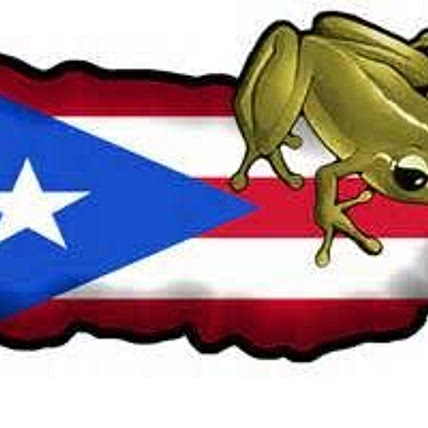 Puerto Rican Cuisine 