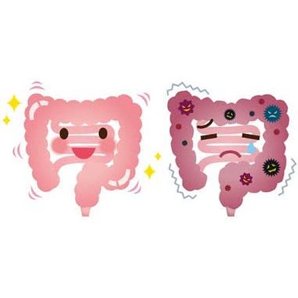IBD Friendly