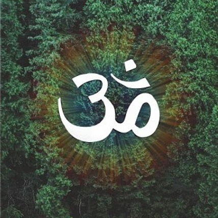 🌸 🍃