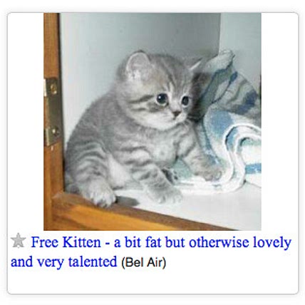 THE FAT KITTEN COOK BOOK