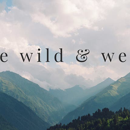 Wild Wander Meal Plans