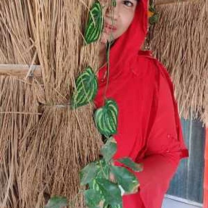 Sadia Afreen