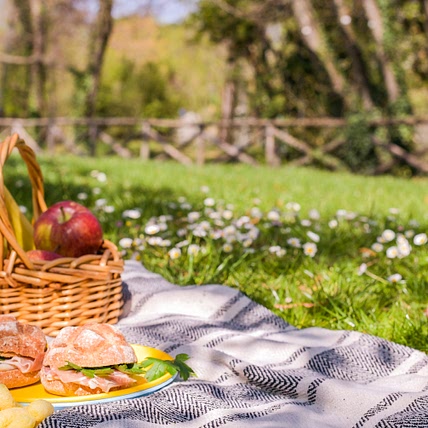 Picnic Party 