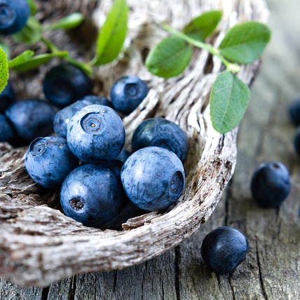 Cannot Berry How Much I Love Blueberries
