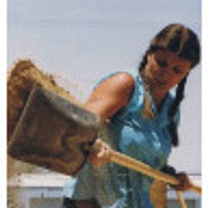 Lynne Ayers