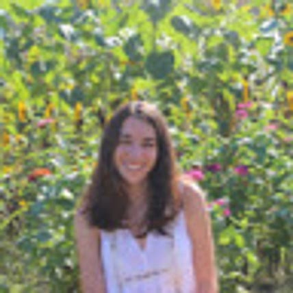 Karen Weinstock