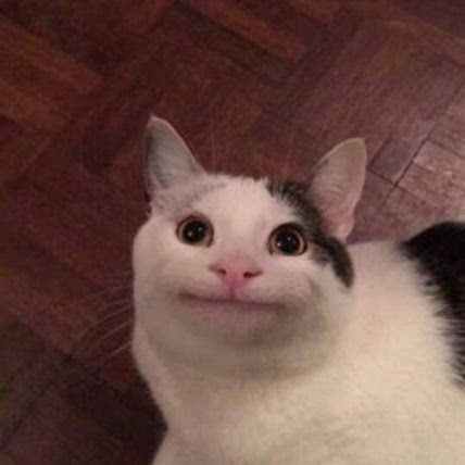 baneeks
