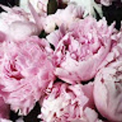 Катя Недорезова