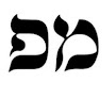 moshe fogel