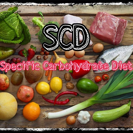 SCD Recipes (Specific Carbohydrate Diet)