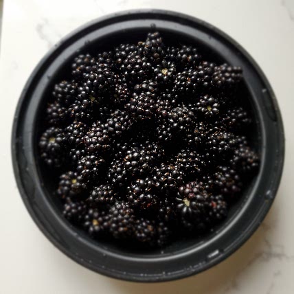 SK's Recipe Box