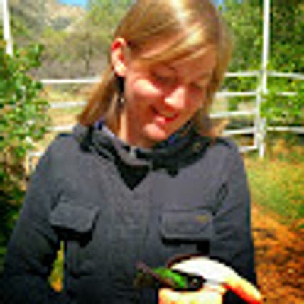 Heidi Ware Carlisle