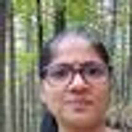 Keerthi Paidimarri