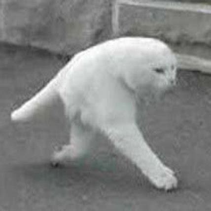 Meme-Made Productions