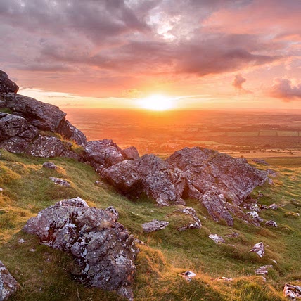 Dartmoor Briton