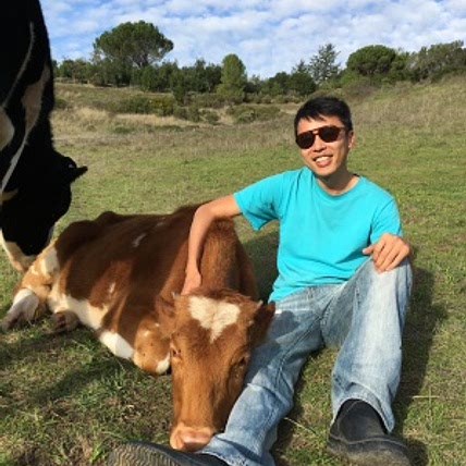 Eddie Hsu