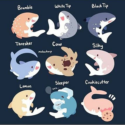 Sharky