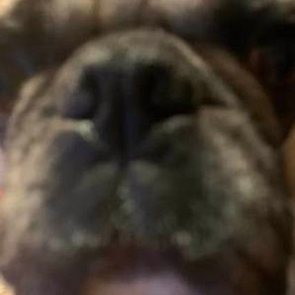 winnie!