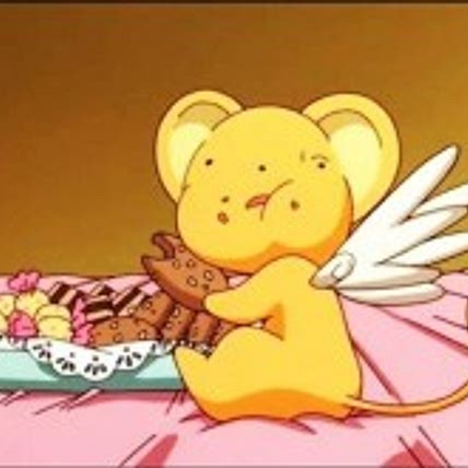Bear Senger