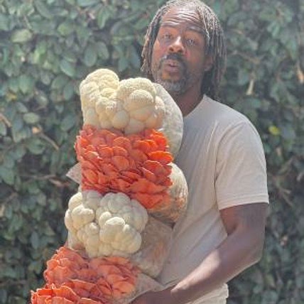 Turnip Vegan