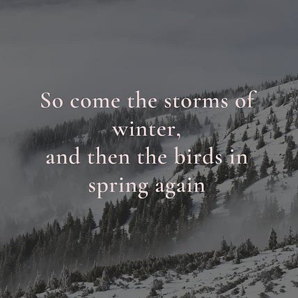 Bird Moon