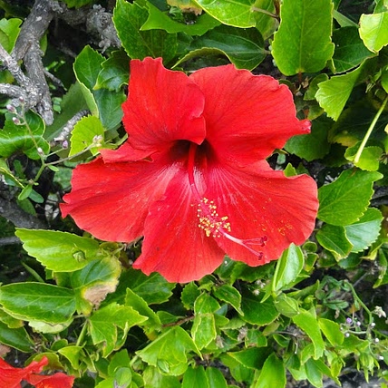 Marilyn Blanchard