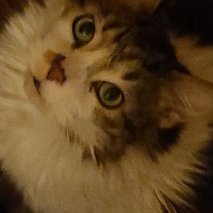 Kizzie