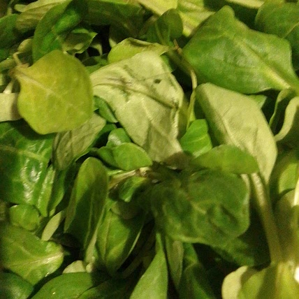 Les secrets de la salade