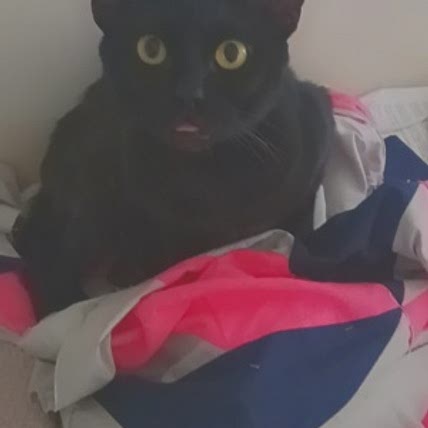 L÷mon Bug
