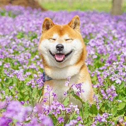 konicheywa