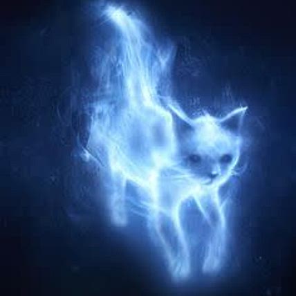 Kitty🐈‍⬛ Butterfly🦋
