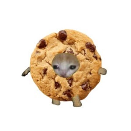 Strange rat
