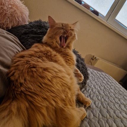 Alaska