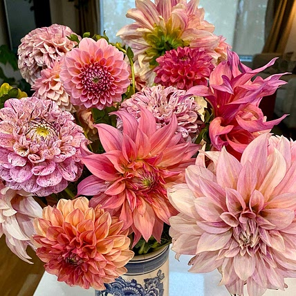 BerryPinkFlower