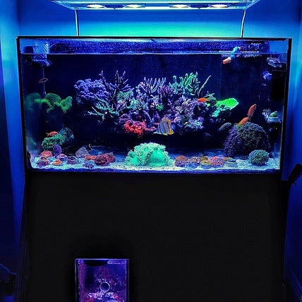 House Reef