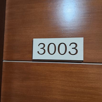3003