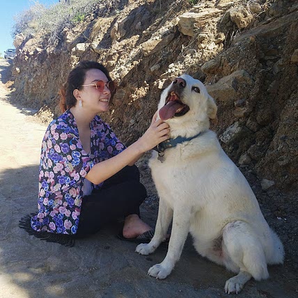 Sierra Stein