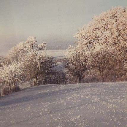 Wisconsin Inspiration