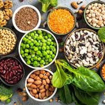 20+ protein / plant based