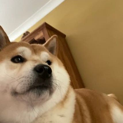 Mya
