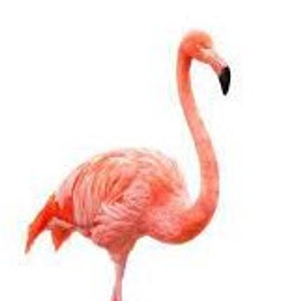 Flamango