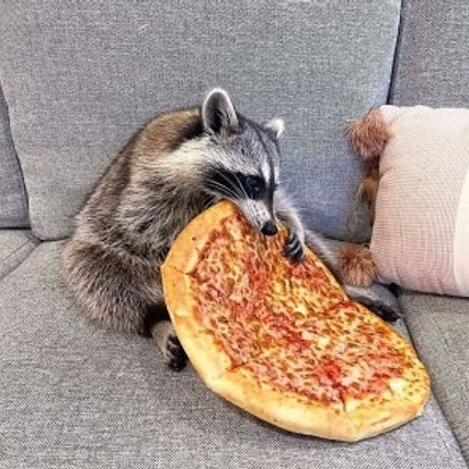 Theo🍕✨️
