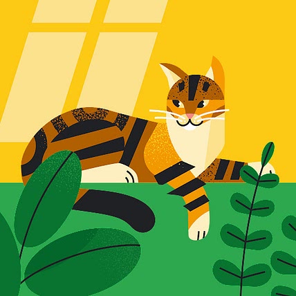 Reet Searle