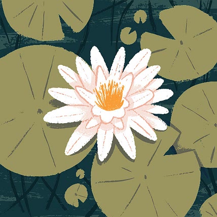 Eimon Aung