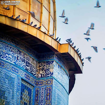 منار صلاح بدر