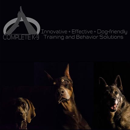 Ashley Foster B.S. CBCC-KA Dogs by Foster