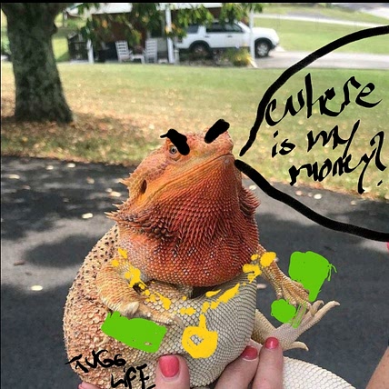 Lactosegod