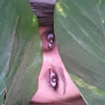 Brunella Legros