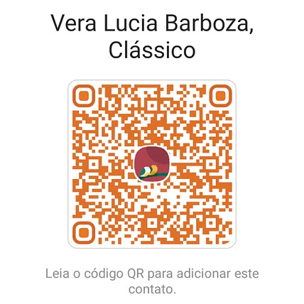 Vera Lucia barboza s